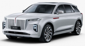 Коврики в салон (2 ряда) Hongqi E-HS9 2020-н.в. (6 мест) 