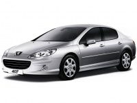 Коврики из экокожи 3D Peugeot 407 2004-2010